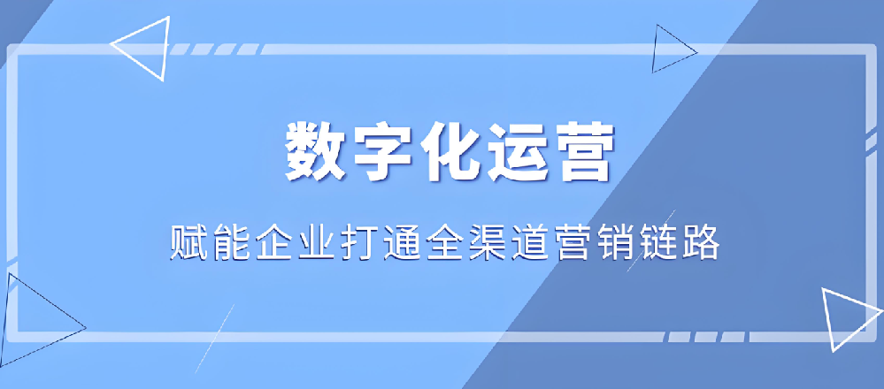 武榮網(wǎng)絡(luò)：塑造企業(yè)數(shù)字形象，提升網(wǎng)絡(luò)營銷效益